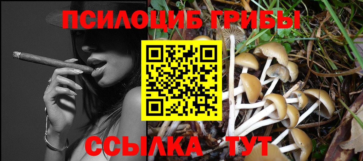 Дзержинский  Псилоцибиновые грибы мицелий  Вход с VPN  купить  цена  Галлюциногенные грибы Psilocybe 